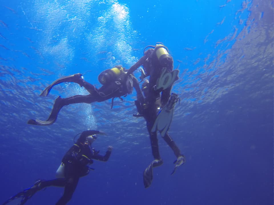 Tauchschule Diving Dragonera – PADI Tauchkurse