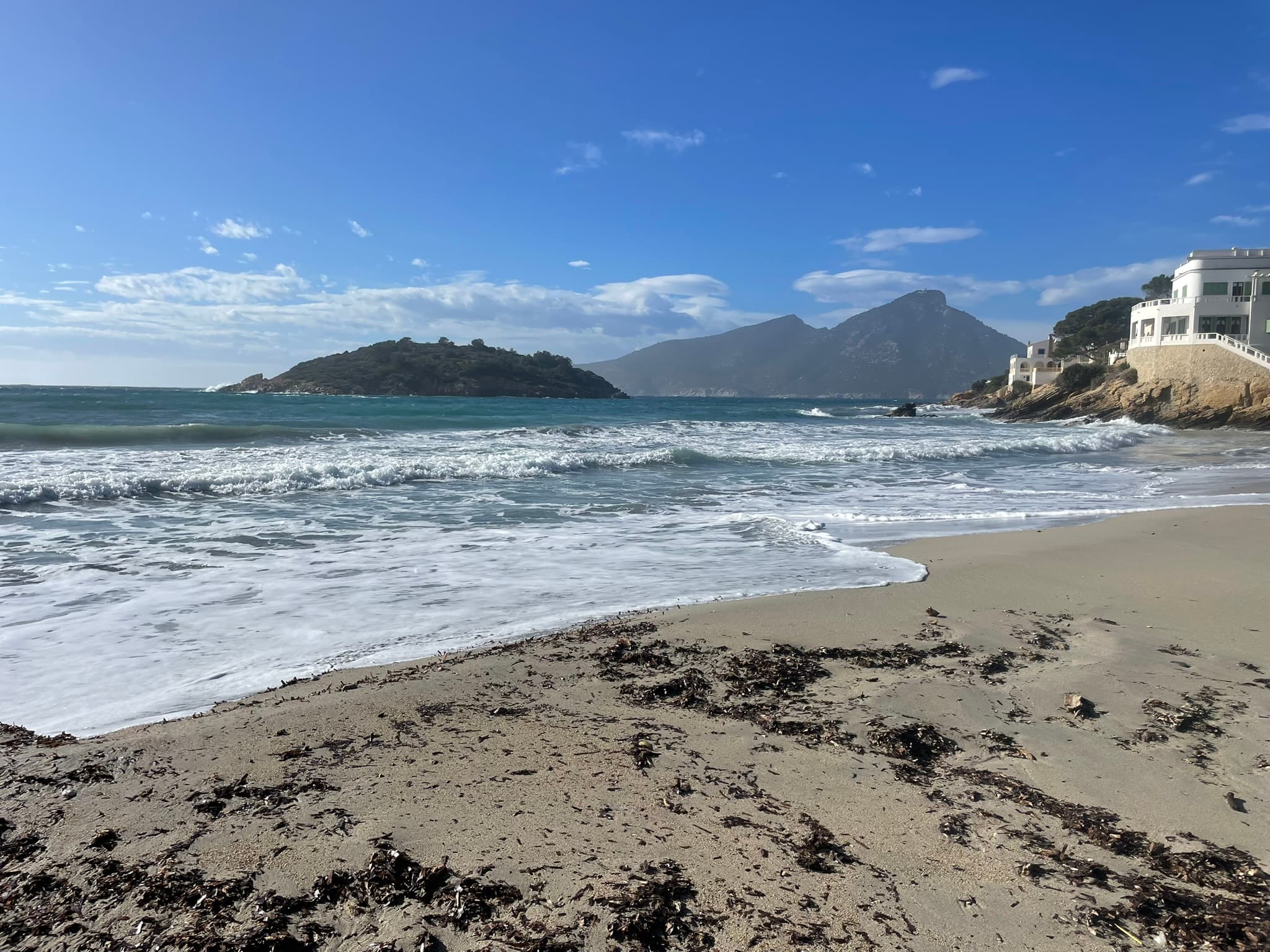 Strand bei Sant Elm mit angespültem Treibgut