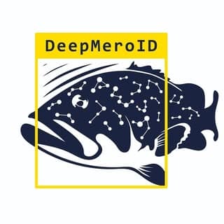 DeepMeroID Logo