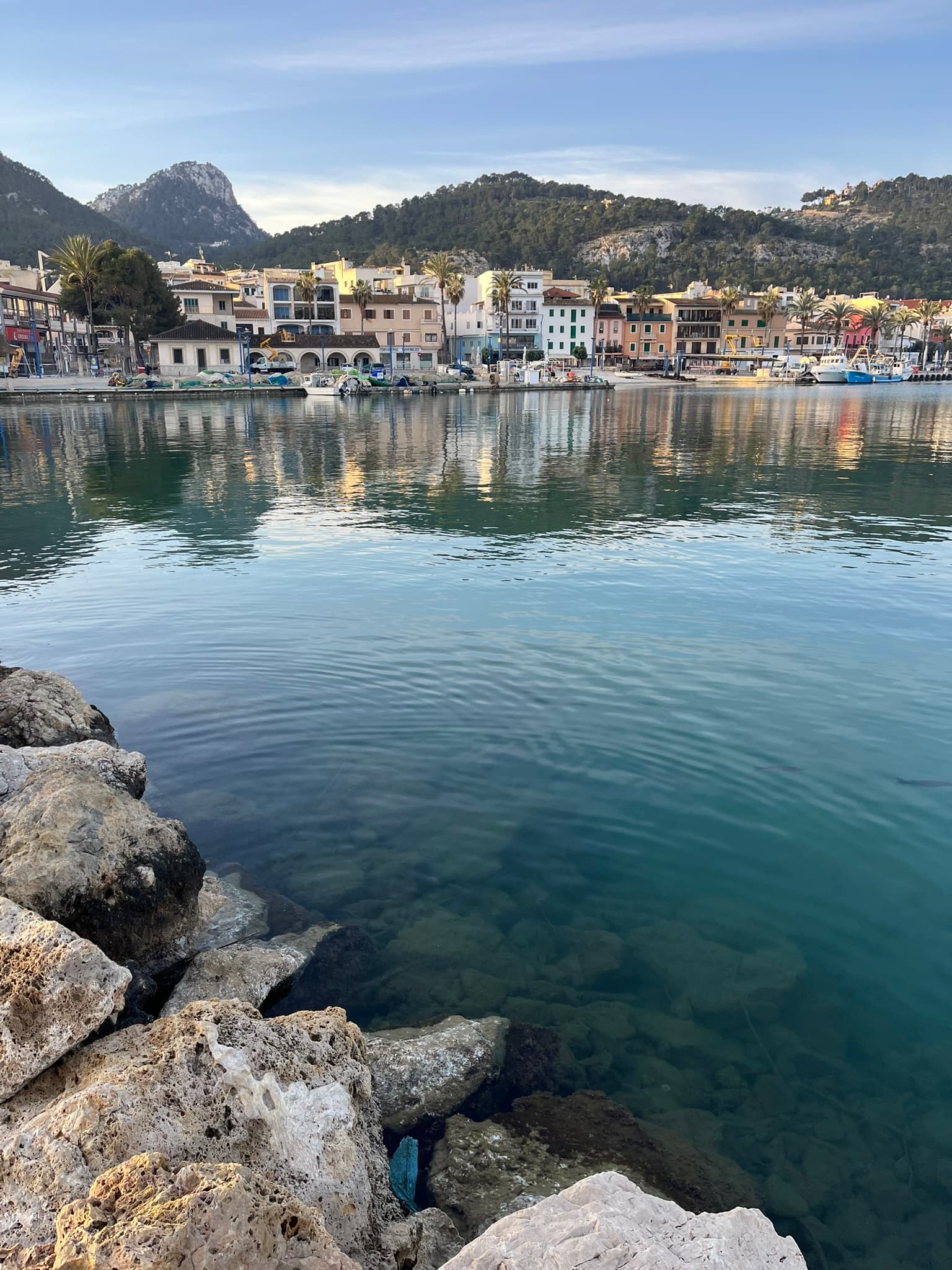 Port d'Andratx