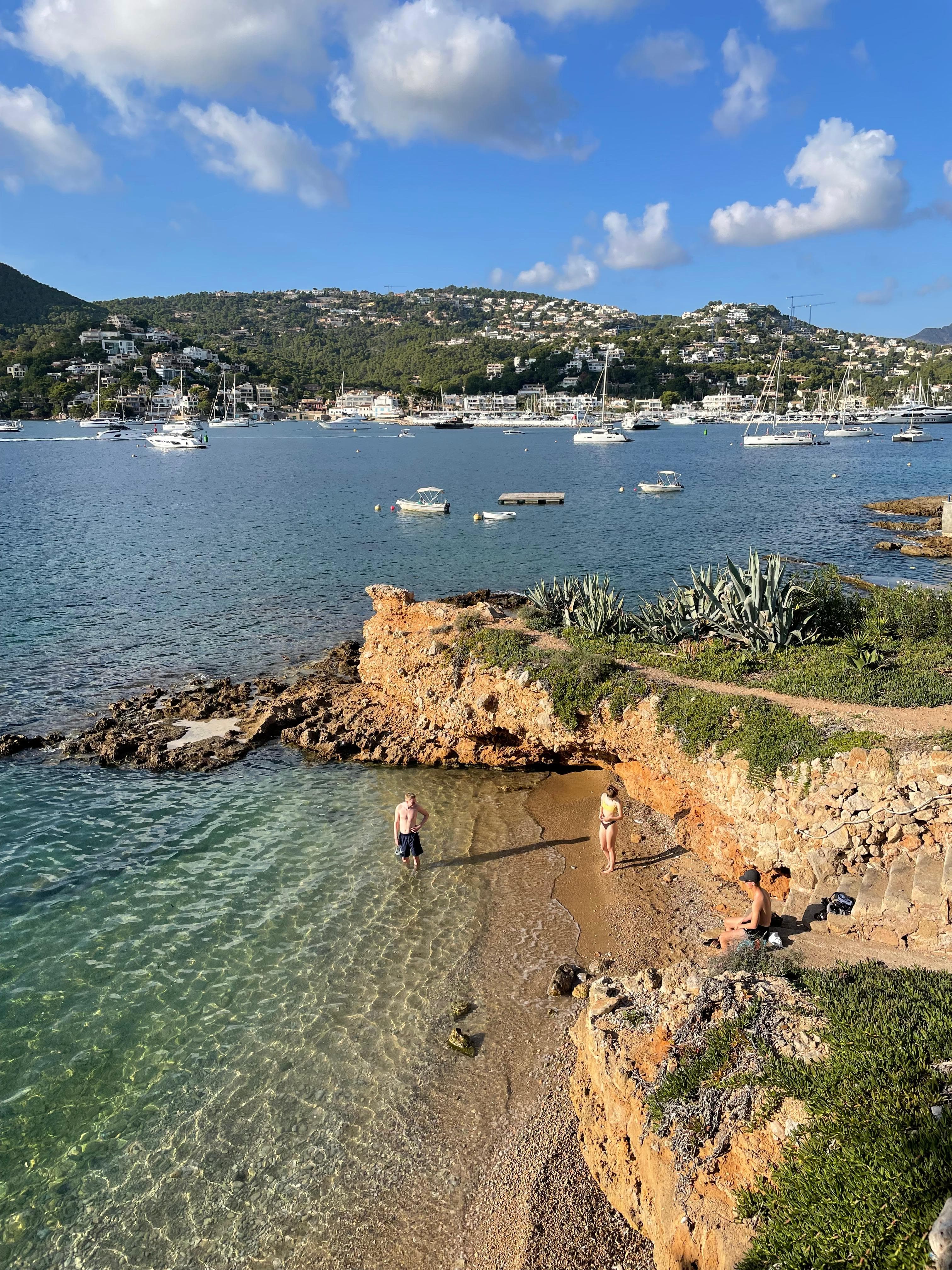 Port d'Andratx