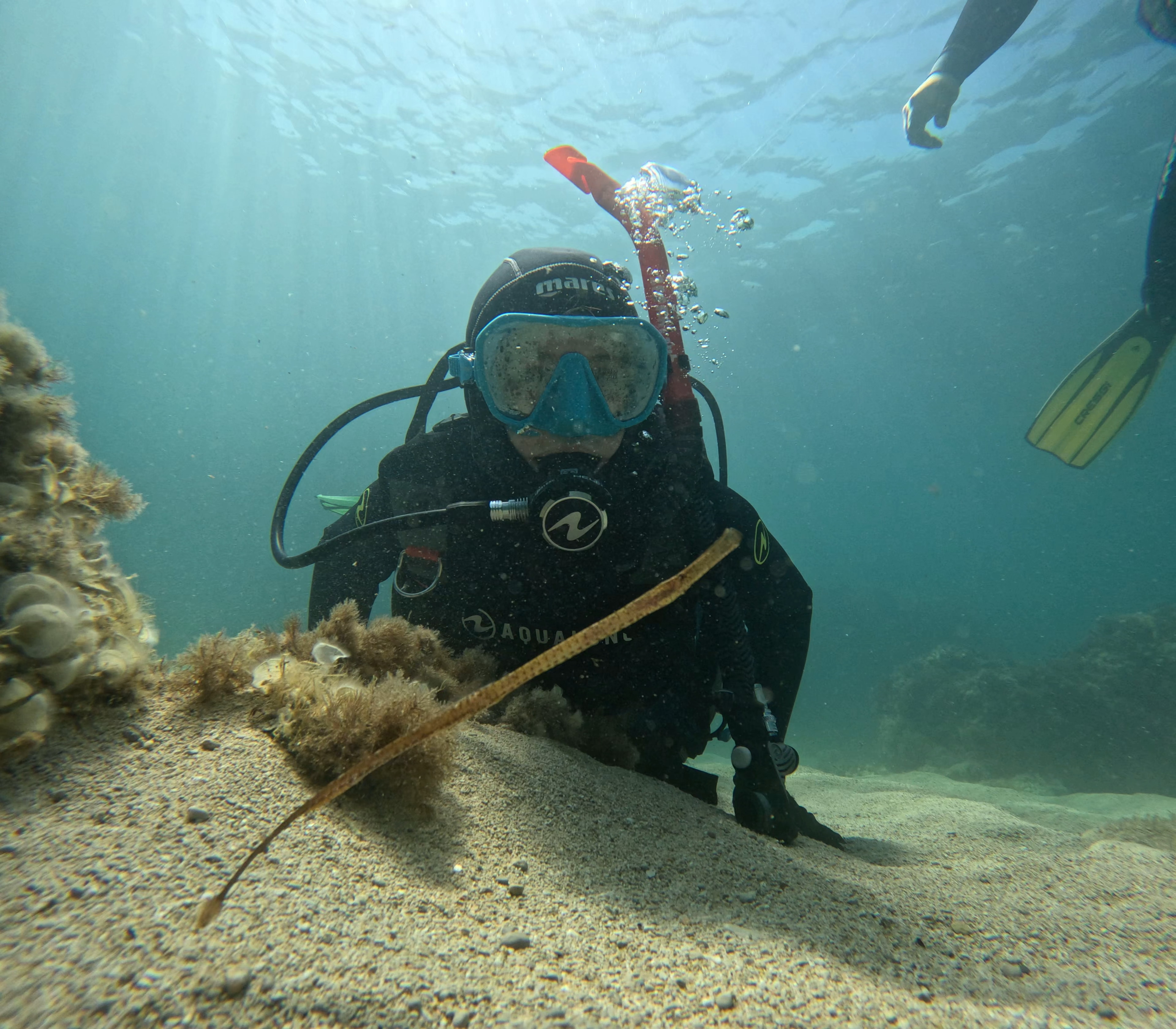 Schnuppertaucher beim PADI Discover Scuba Diving